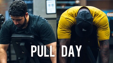 Pull Day - Back & Biceps Workout Plan (2023 Split)