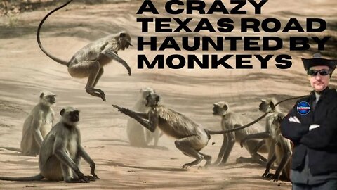 A Crazy Texas Road Haunted By Monkeys - The Paranormal Highway Show