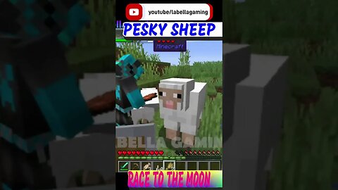 Race To The Moon - Pesky Sheep | Minecraft