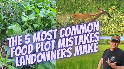 Avoid THESE 5 Deadly Food Plot Mistakes!