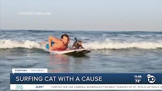 "Surf Cat Mav" uses popularity to raise mental health awareness
