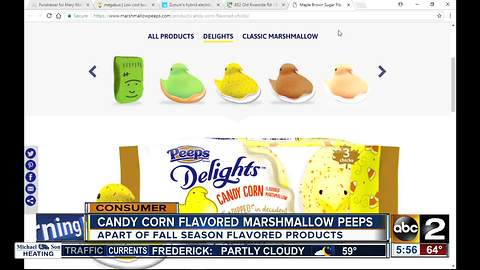 Spooky or sweet? Candy corn Peeps released for Halloween