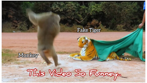 Fake Tiger Prank Monkey and Dog So Funny in 2021 For Your Happiness 🤟