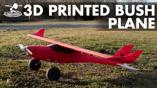 Light Weight 3D Printed Bush Plane!