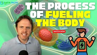 The Process of Fueling the Body