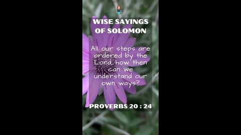 Proverbs 20.24 | NRSV Bible - Wise Sayings of Solomon