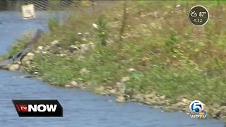 Visitors left uneasy about camping next to algae water