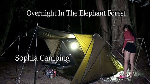 Alone Girl Camping In The Elephant Forest - sophia Adventures