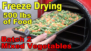 Freeze Drying Your First 500 lbs of Food - Batch 2 - Mixed Vegetables