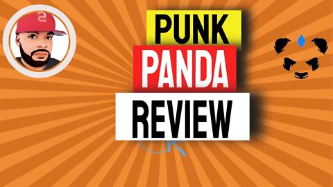 Punk Panda Review | How To Earn Money With an App 2022