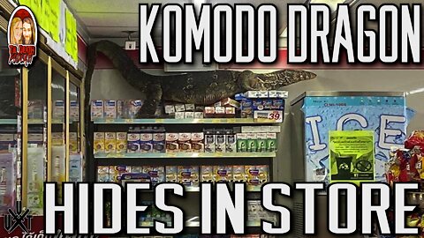 Komodo Dragon Eats Monkey | Til Death Podcast | CLIP