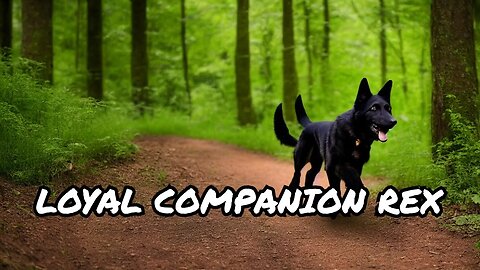 Discover the thrill of biking with a loyal companion: My Black GSD Rex