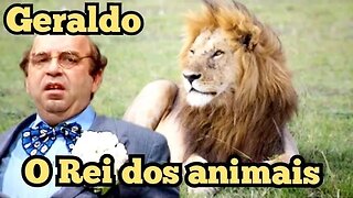 Escolinha do Professor Raimundo; Geraldo, trabalho sobre o rei dos animais