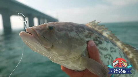 2021 Fishing Highlights - Redfish, Snook, Trout, Tripletail, Tarpon
