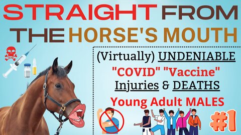 Straight from the Horse's Mouth | Young Adult Males #1 - #RealNotRare #COVIDVaccineVictims