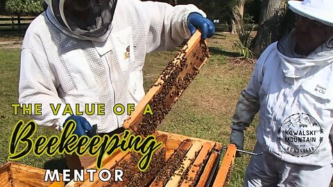 The Value of Seeking a Beekeeping Mentor | Mentoring a Fellow Beekeeper One Year Update