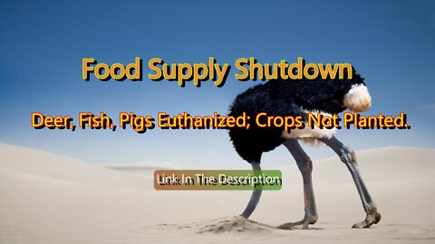 Food Supply Shutdown: Deer, Fish, Pigs Euthanized; Crops Not Planted