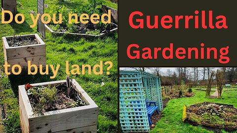 Do you need to buy land? Guerrilla Gardening| Part 1