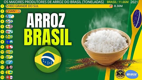 Os Maiores Produtores de ARROZ do Brasil