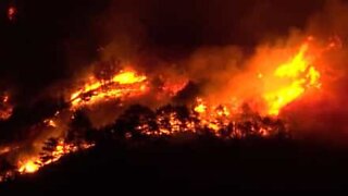 Flammer driver gjennom en skog i Italia