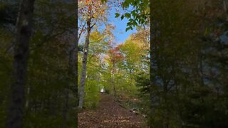 Beautiful Fall Colors in Canada