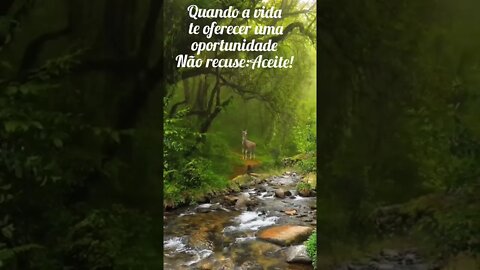 motivação, motivacional músicas relaxantes