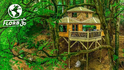 Luxury Treehouse Cabin An Escape from the City