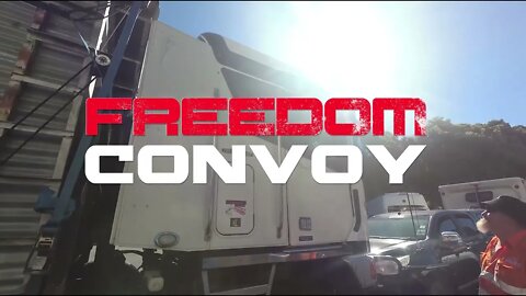 Freedom Convoy 2022 - New Zealand - Honk 0 Clock