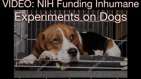 Video Showing Puppy Experiments Overseen by Fauci Goes Viral