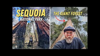 THIS PLACE IS AMAZING!! Sequoia National Park - BETTER THAN WE EXPECTED!