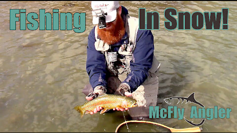 Catching fish in the SNOW! - Streamer Fishing the San Juan River! - McFly Angler Episode 10