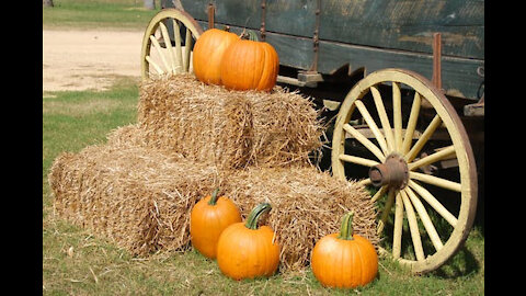 Antique Wooden Wagon Wheels for Sale