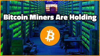 Bitcoin Miners Are HOLDING