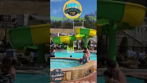 Camp Margaritaville RV Resort and Lodge Pool Slide in March 2022 #shorts