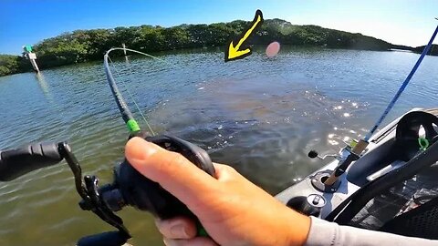 This FISH can kill you Ascend 133X Kayak fishing