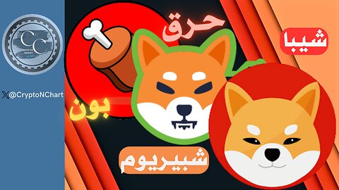 آخر المستجدات | #shibainu | #شيبا