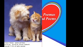 Our friendship is like dog and cat, but we always understand each other! [Quotes and Poems]