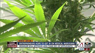 Entrepreneurs hope to get in on medical marijuana