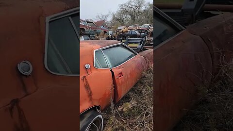 1973 Mercury for @MaoTseHelen #justdriveit #junkyardcars