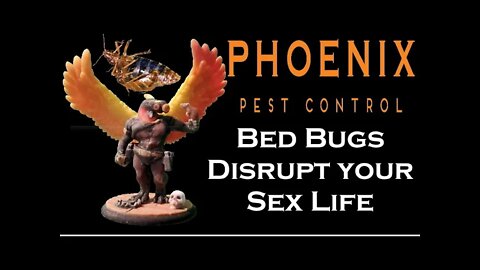Bed Bugs Disrupt Your Sex Life #whatbugsme | Phoenix Pest Control TN