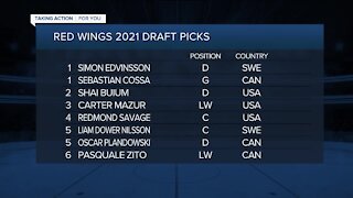 Red Wings add six players on second day of NHL Draft
