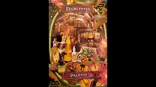 #19 Witches Kitchen Oracle Cards Eucalyptus