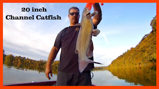 Catching Catfish on a Crankbait