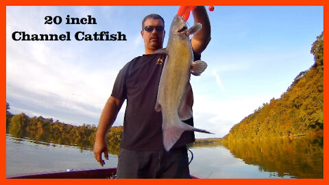 Catching Catfish on a Crankbait