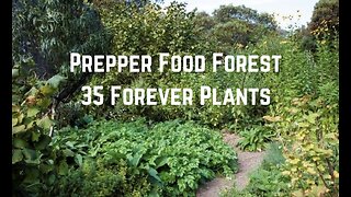 Prepper Food Forest: 35 Forever Plants