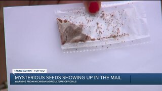 Mysterious seeds showing up in the mail