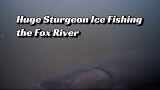Huge Sturgeon Ice Fishing the Fox River