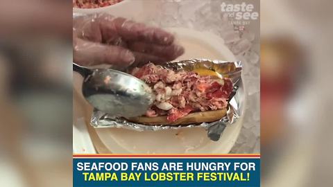 Seafood fans are hungry for Tampa Bay Lobster Festival | Taste and See Tampa Bay