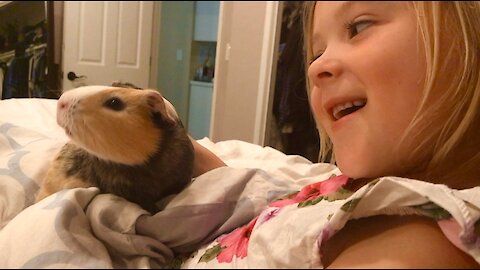 This little girl and her guinea pig will make your day