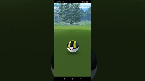 Pokémon GO-Shiny Chinchou